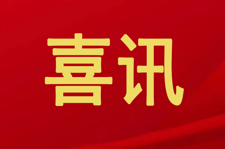 喜訊！博士有成榮獲“全國兒童學習桌行業質量領先企業”等榮譽稱號